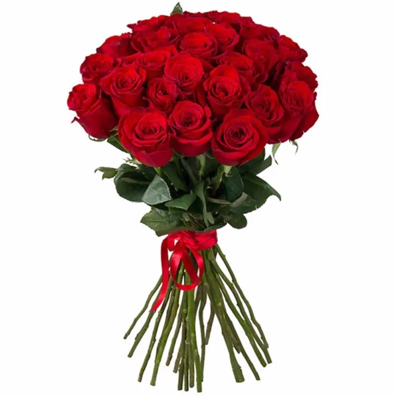 Букет из 25 красных роз под ленту, доставка Кугеси
